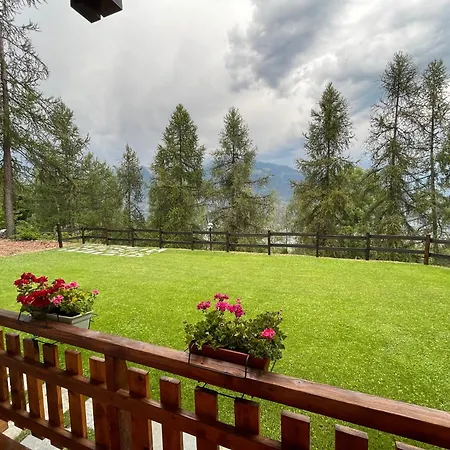 In - La Luge * Cerise